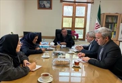 تأکید مدیرکل دفتر امور روستایی و شوراهای استانداری اردبیل بر حمایت از صندوق‌های اعتبارات خرد زنان روستایی و عشایری